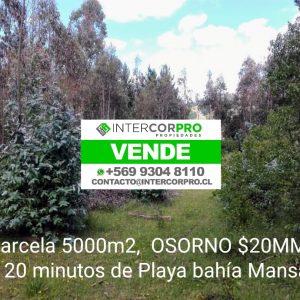 Se vende parcela en Osorno, Región de Los Lagos.