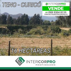 Se vende terreno Teno-Curico