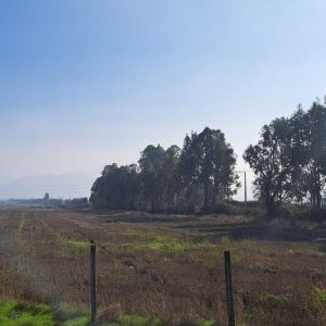 Se vende terreno en Av. Comalle, Teno.