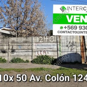 SE VENDE SITIO EN AVENIDA COLÓN, CURICÓ.