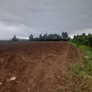 Se vende parcela en Cerrillo Bascuñán, Molina, Curicó.