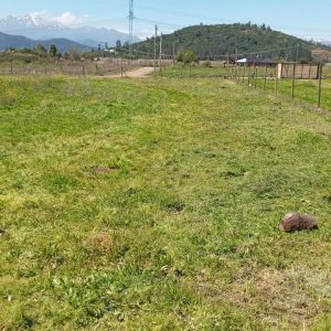 SE VENDE PARCELA EN SECTOR SANTA LUCÍA DE ROMERAL, PROVINCIA DE CURICÓ.