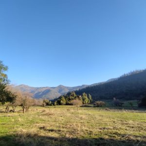 SE VENDEN PARCELAS DE AGRADO EN SECTOR LOS MAQUIS, ROMERAL.