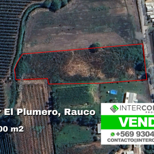 SE VENDE PARCELA EN SECTOR EL PLUMERO, COMUNA DE RAUCO.